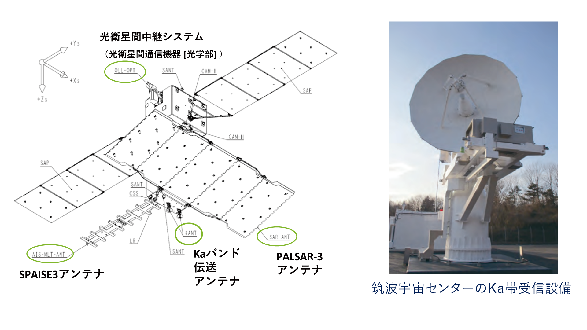だいち4号（ALOS-4） – JAXA 第一宇宙技術部門 サテライトナビゲーター