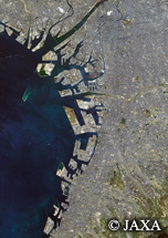 だいちから見た日本の都市 大阪：衛星画像