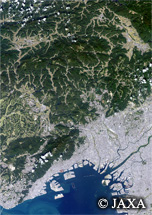 だいちから見た日本の都市 兵庫県・大阪府周辺：衛星画像