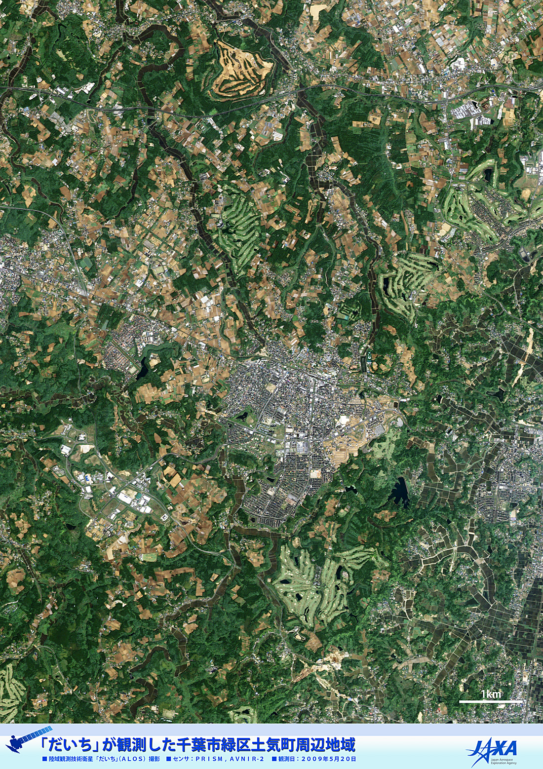 だいちから見た日本の都市 千葉市緑区土気町:衛星画像（ポスター仕上げ）