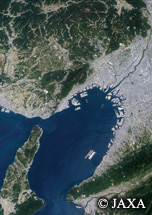 だいちから見た日本の都市 大阪湾周辺地域：衛星画像