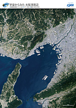 だいちから見た日本の都市 大阪湾周辺地域：衛星画像（ポスター仕上げ）
