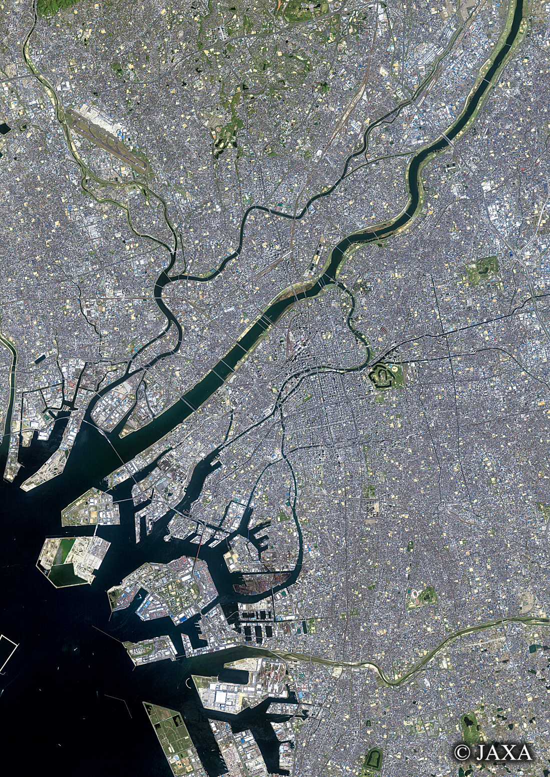 だいちから見た日本の都市 大阪市周辺地域:衛星画像