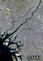 だいちから見た日本の都市 大阪市周辺：衛星画像