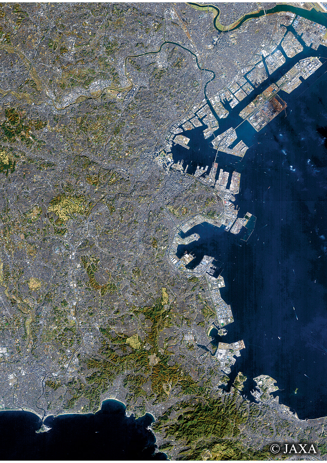 だいちから見た日本の都市 横浜周辺:衛星画像
