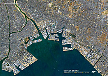 だいちから見た日本の都市 船橋市周辺：衛星画像（ポスター仕上げ）