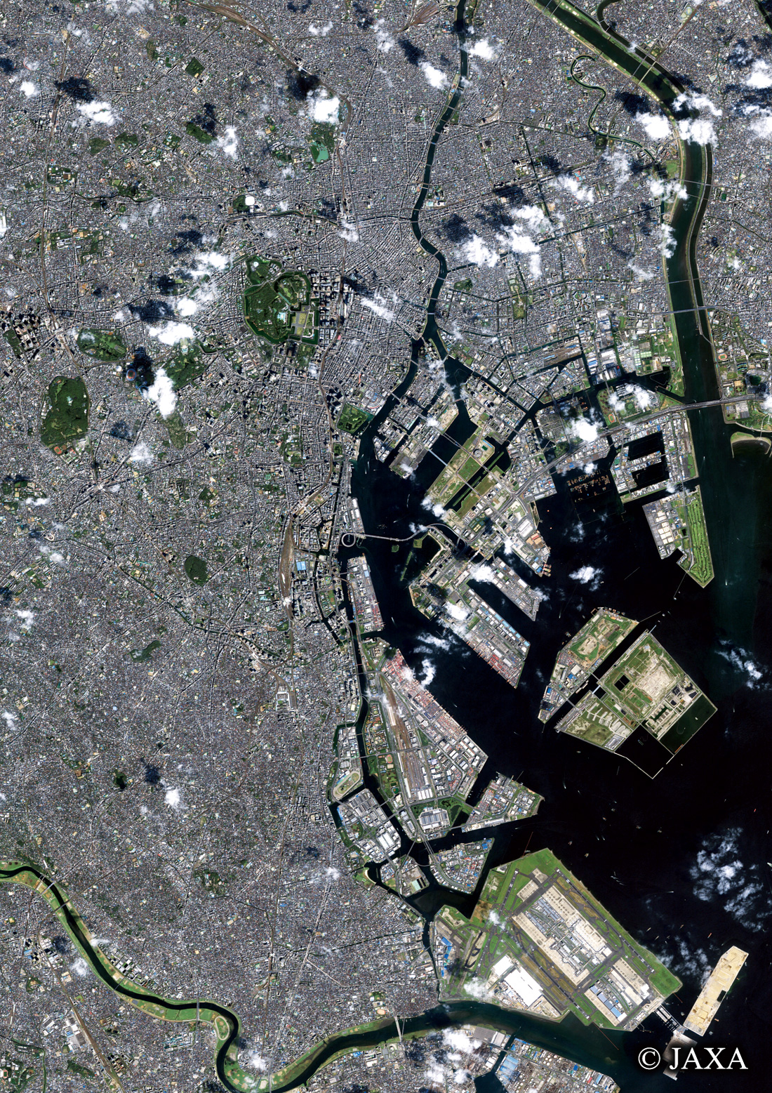 だいちから見た日本の都市 東京:衛星画像