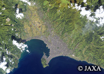 だいちから見た日本の都市 函館市：衛星画像
