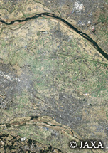 だいちから見た日本の都市 熊谷市周辺地域：衛星画像