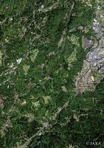 だいちから見た日本の都市 名張市周辺：衛星画像