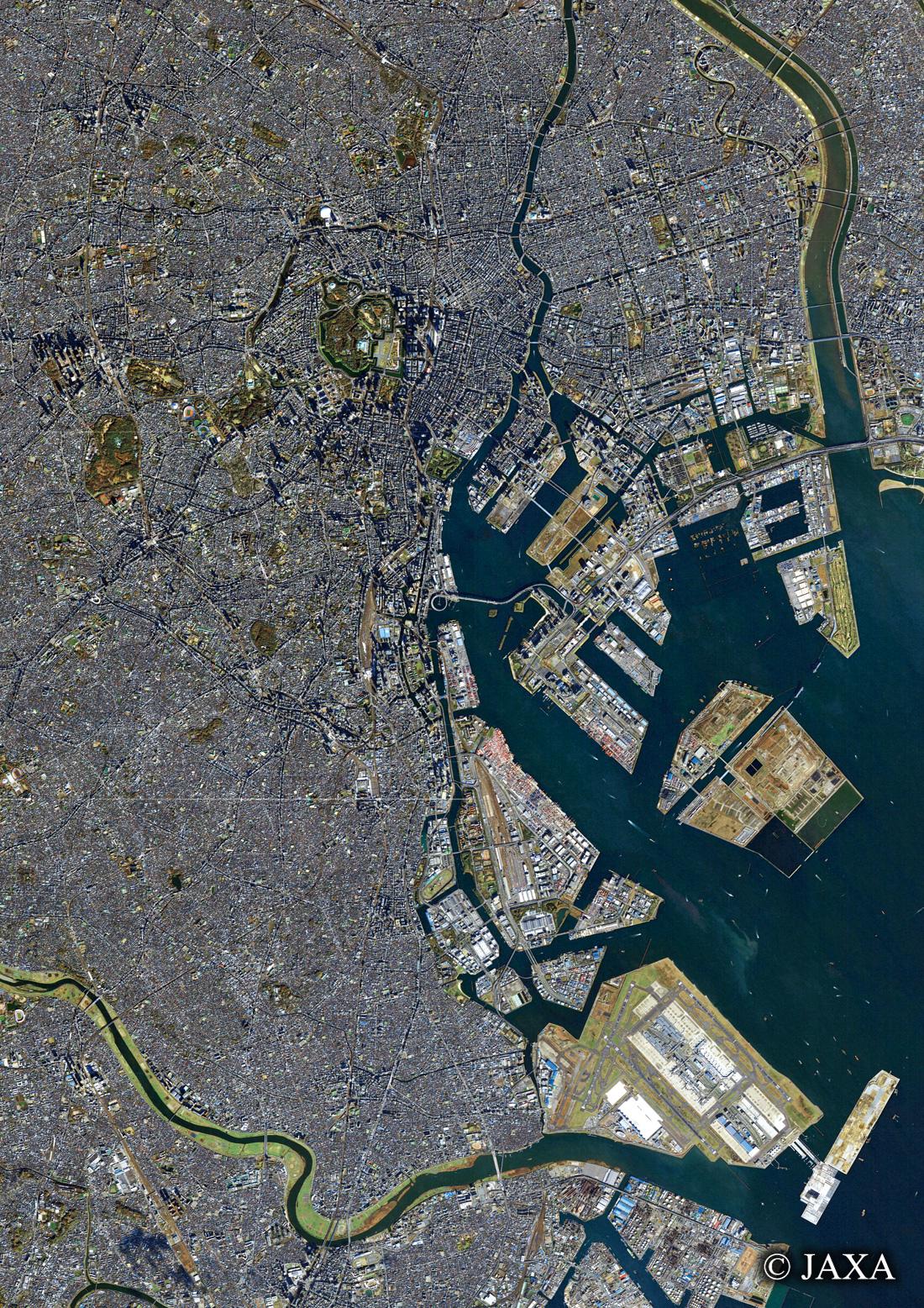 だいちから見た日本の都市 東京都心:衛星画像