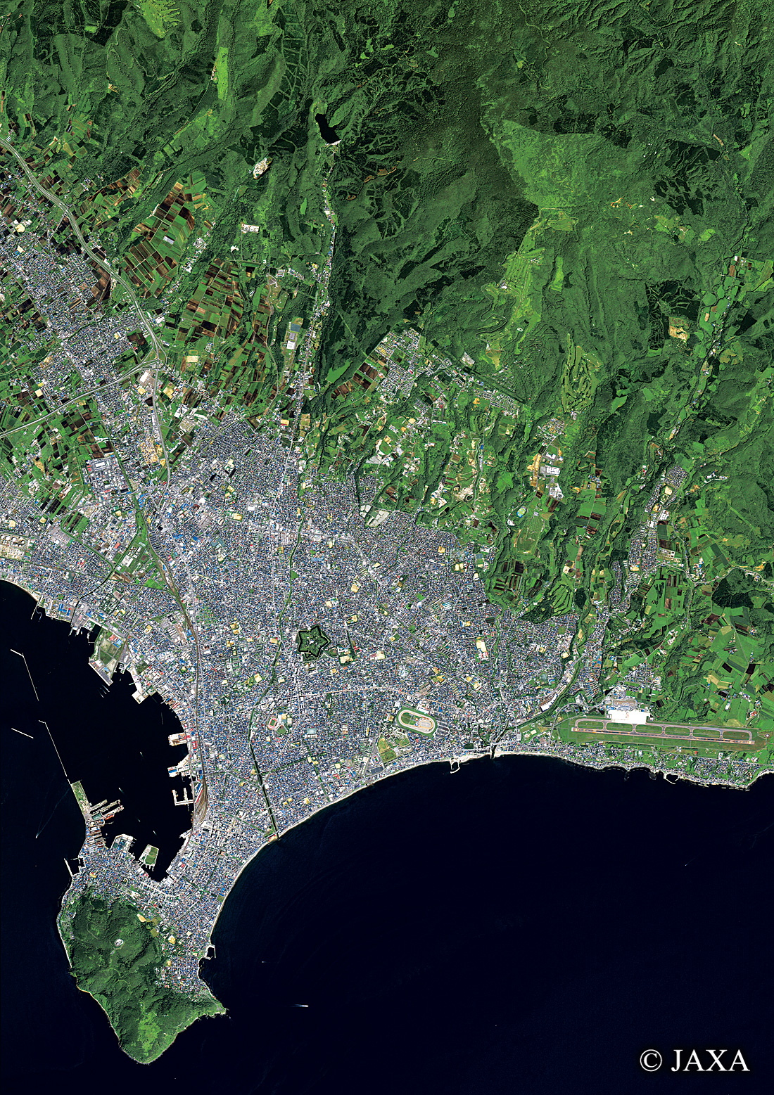 だいちから見た日本の都市 函館市周辺:衛星画像