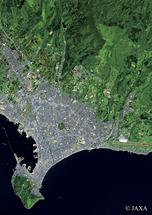 だいちから見た日本の都市 函館市周辺：衛星画像