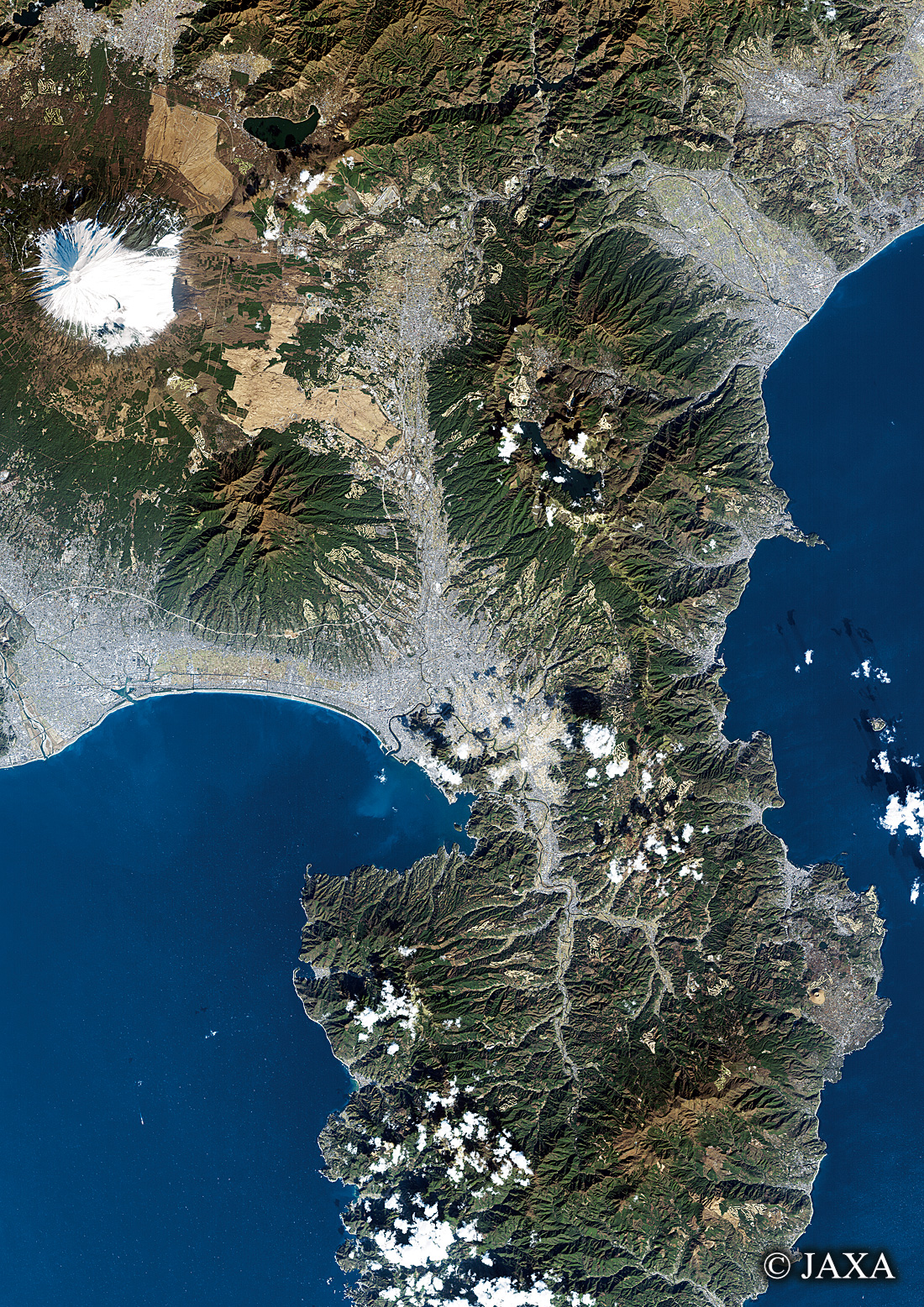 だいちから見た日本の都市 伊豆半島:衛星画像