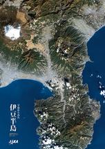 だいちから見た日本の都市 伊豆半島：衛星画像（ポスター仕上げ）