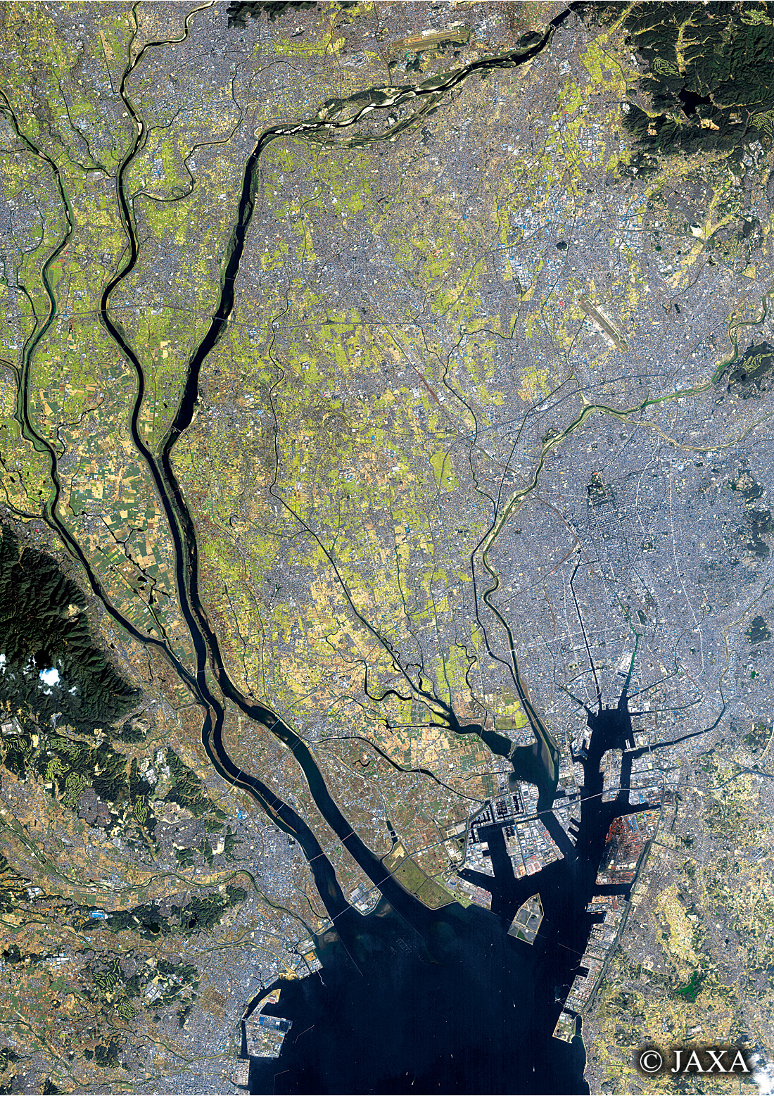 だいちから見た日本の都市 濃尾平野:衛星画像