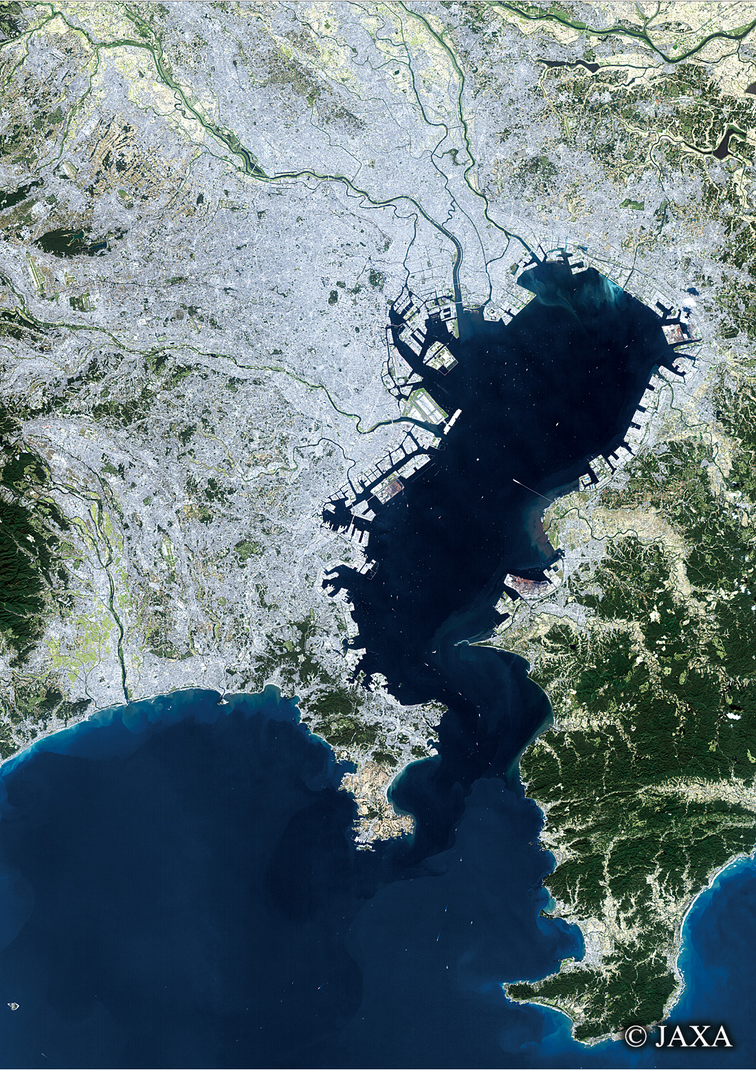 だいちから見た日本の都市 相模湾・東京湾周辺:衛星画像