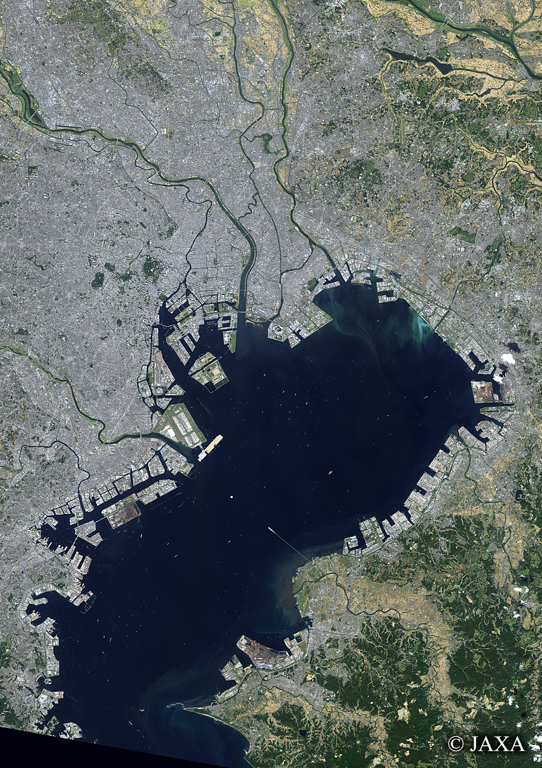だいちから見た日本の都市 東京湾:衛星画像