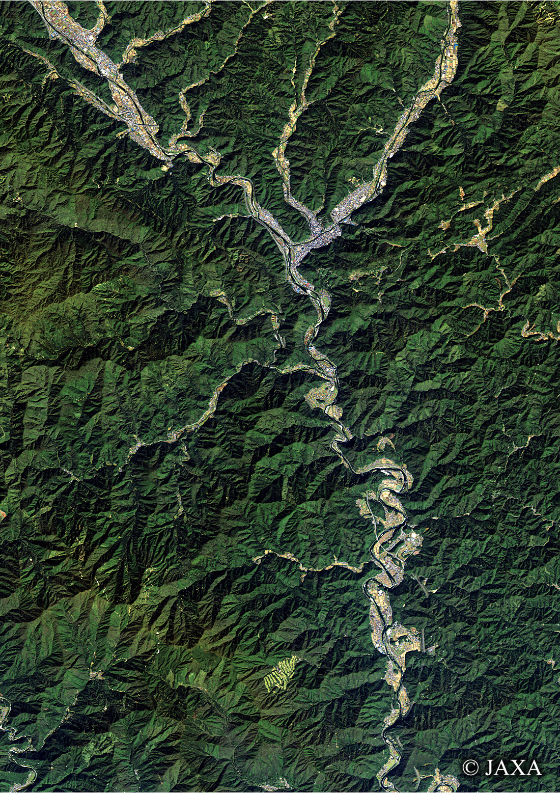 だいちから見た日本の都市 郡上八幡周辺:衛星画像