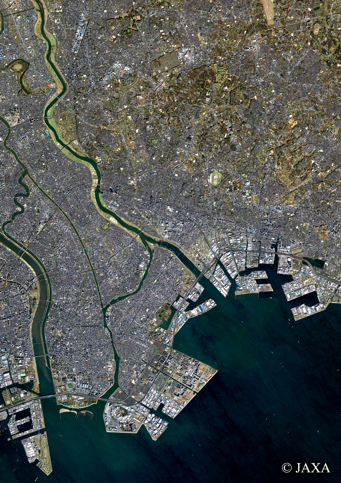 だいちから見た日本の都市 市川市周辺:衛星画像