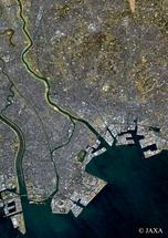 だいちから見た日本の都市 市川市周辺：衛星画像