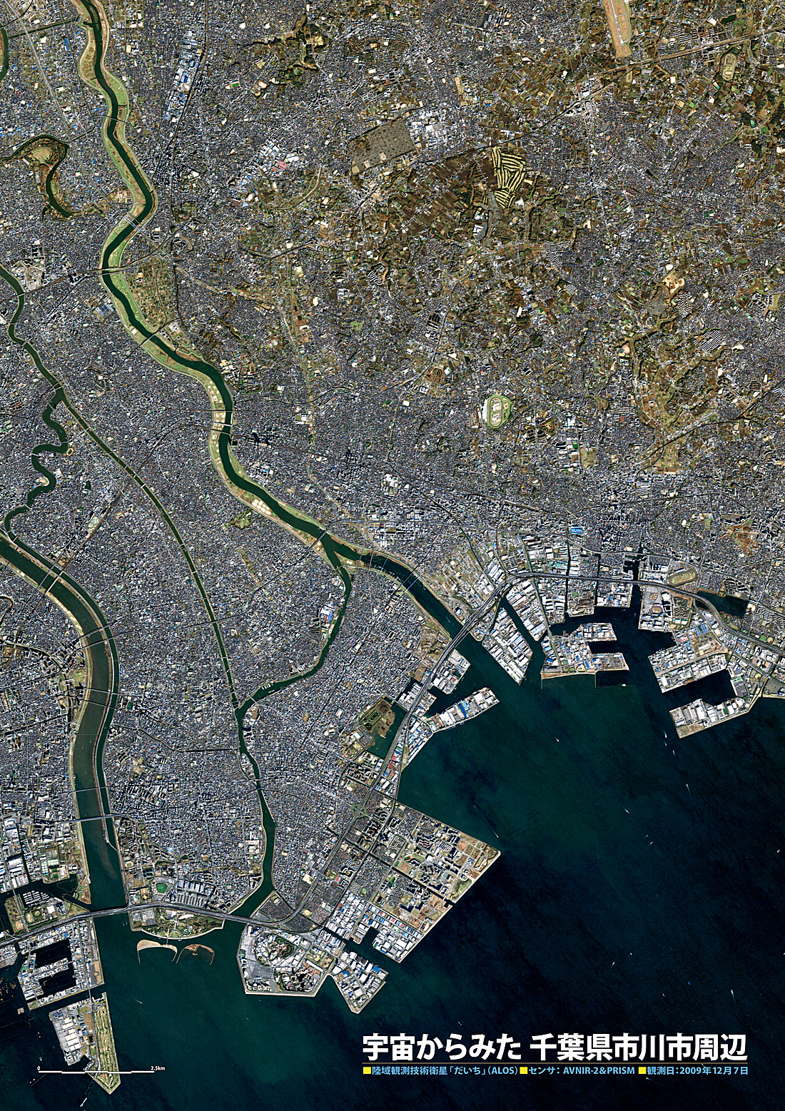 だいちから見た日本の都市 市川市周辺:衛星画像（ポスター仕上げ）