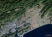 だいちから見た日本の都市 高知県：衛星画像