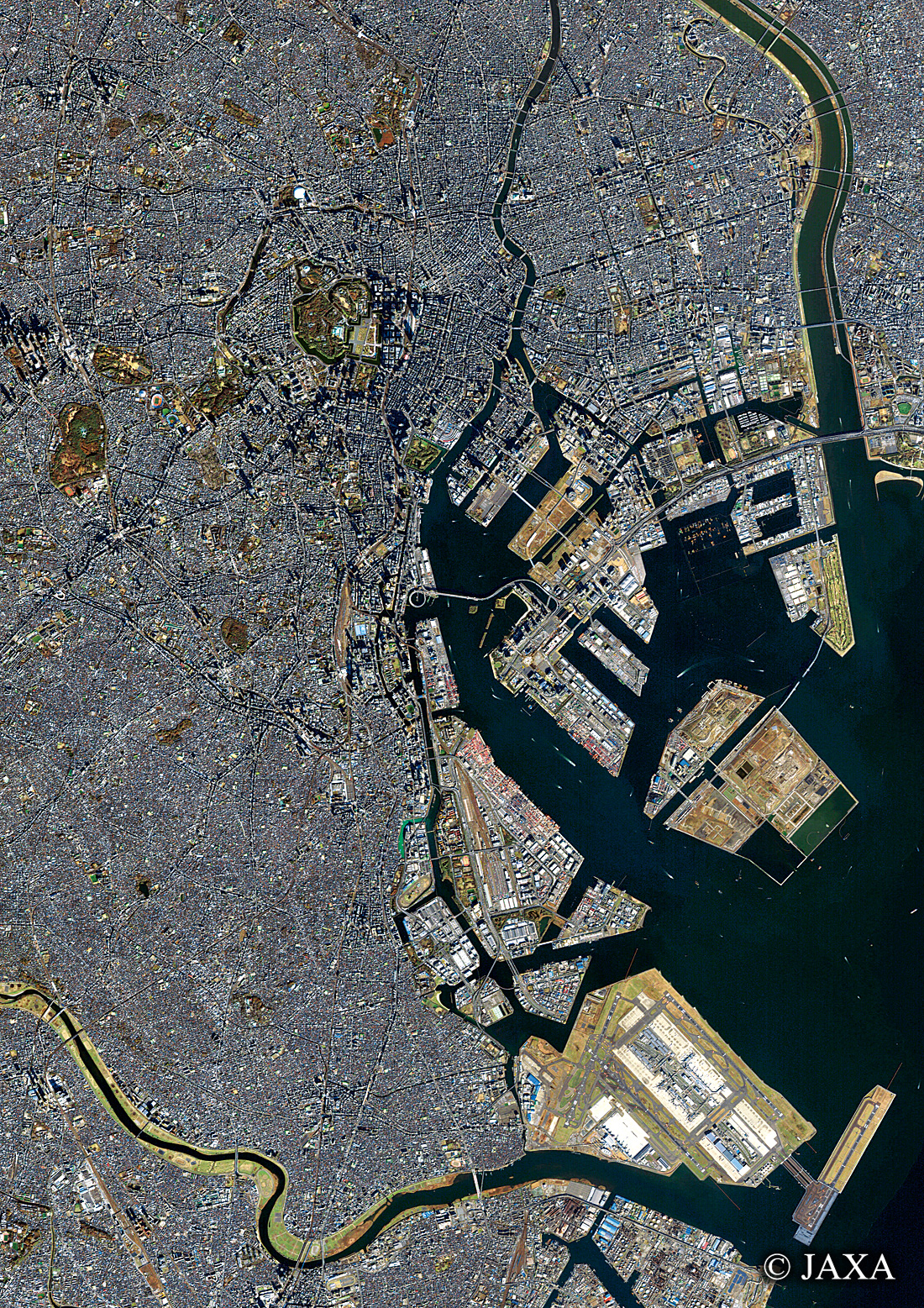 だいちから見た日本の都市 東京:衛星画像