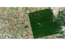 だいちから見た世界の都市 レイクマゼンタ自然保護区：衛星画像