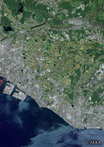 だいちから見た日本の都市 神戸市西区周辺：衛星画像