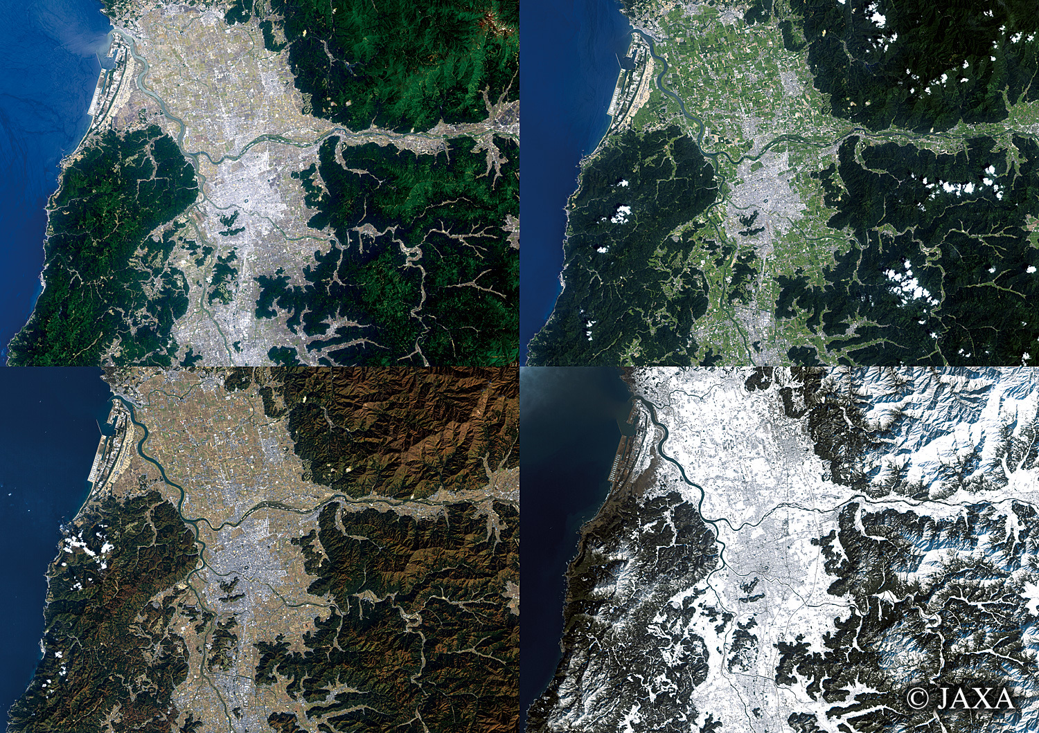 だいちから見た日本の都市 福井県の四季:衛星画像