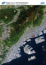 だいちから見た日本の都市 神戸市中央区周辺：衛星画像（ポスター仕上げ）