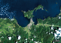 だいちから見た日本の都市 長門市青海島周辺：衛星画像