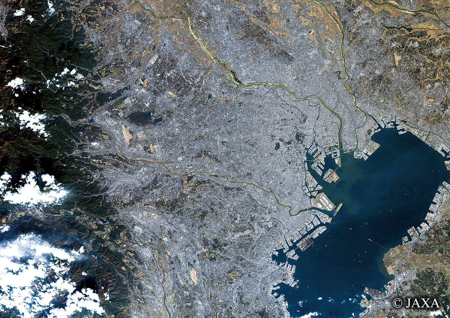 だいちから見た日本の都市 東京都と周辺地域:衛星画像