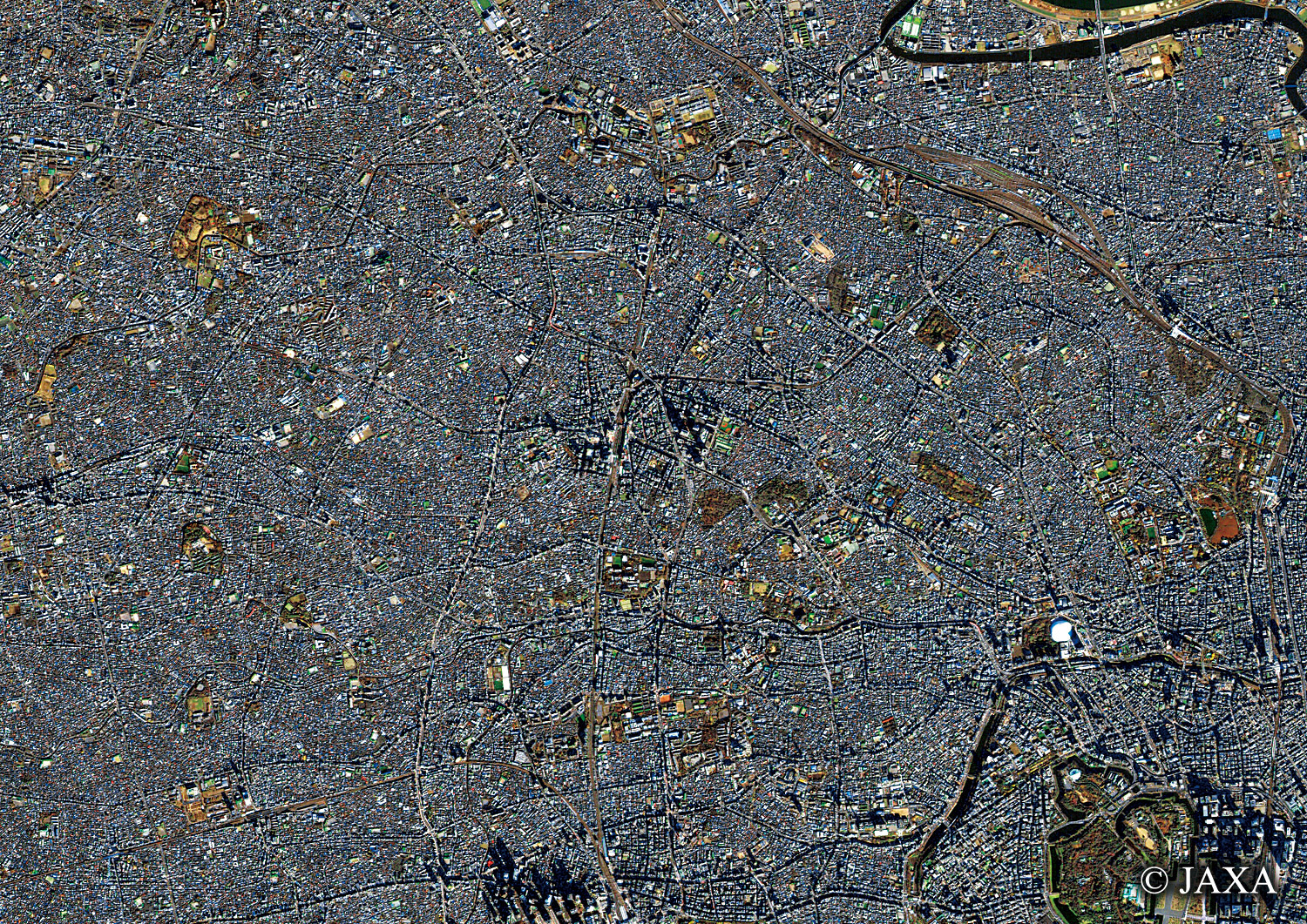 だいちから見た日本の都市 豊島区周辺:衛星画像