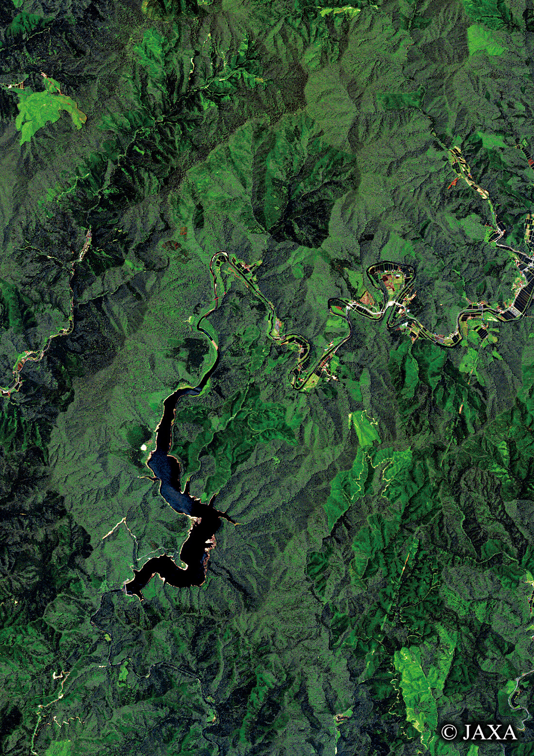 だいちから見た日本の都市 庄原市高野町周辺:衛星画像