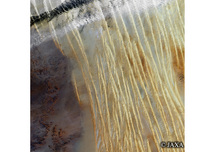 だいちから見た世界の都市 リビア砂漠：衛星画像