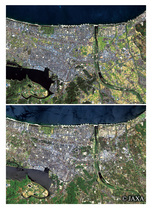 だいちから見た日本の都市 米子市周辺の移り変わり：衛星画像