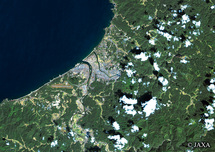 だいちから見た日本の都市 益田市：衛星画像