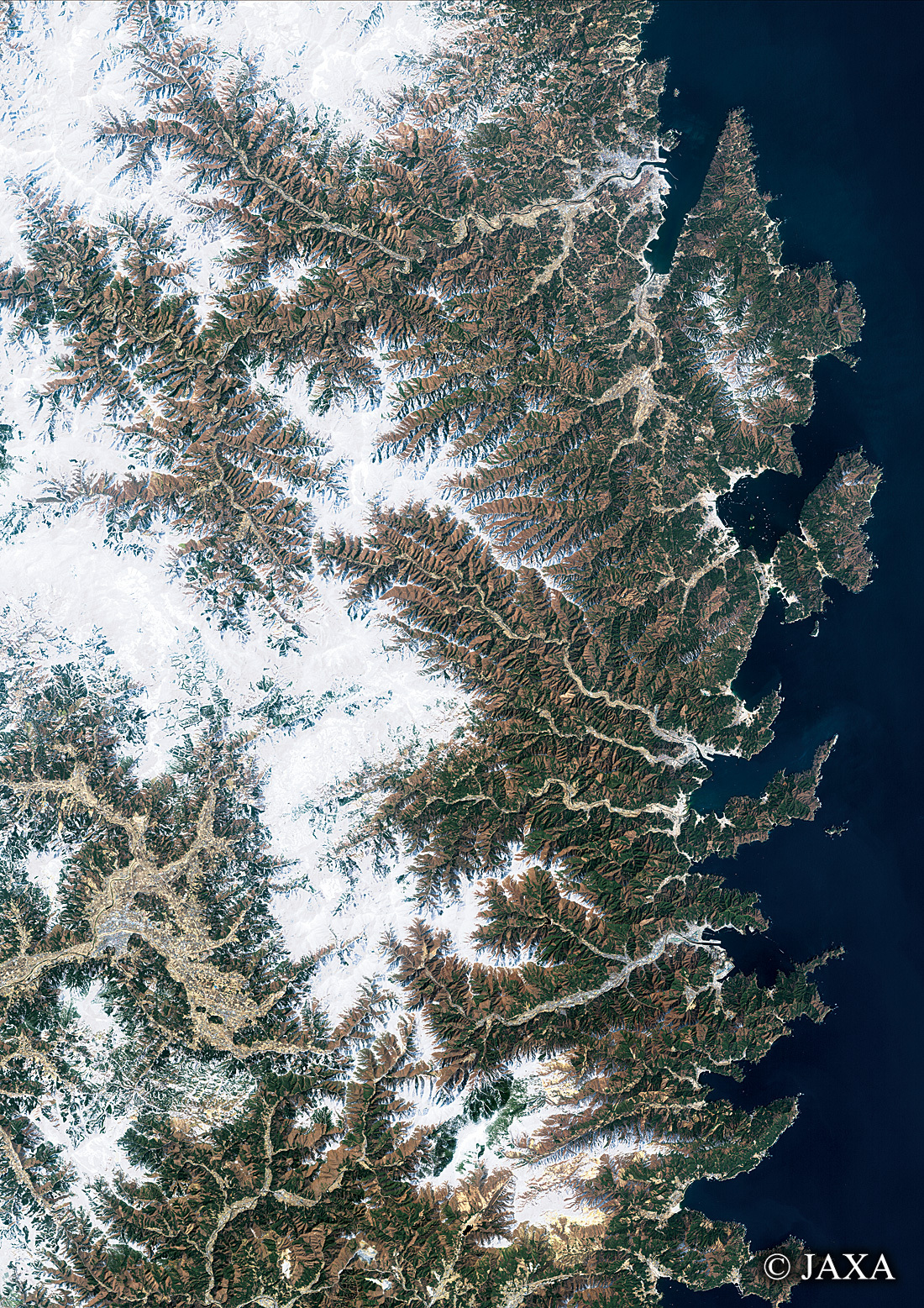 だいちから見た日本の都市 三陸海岸:衛星画像