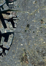 だいちから見た日本の都市 仁徳天皇陵周辺：衛星画像