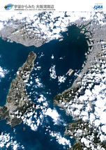 だいちから見た日本の都市 大阪湾周辺：衛星画像（ポスター仕上げ）