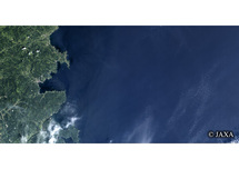 だいちから見た日本の都市 震災前の南三陸町：衛星画像