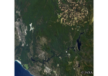だいちから見た世界の都市 タスマニア原生地域：衛星画像