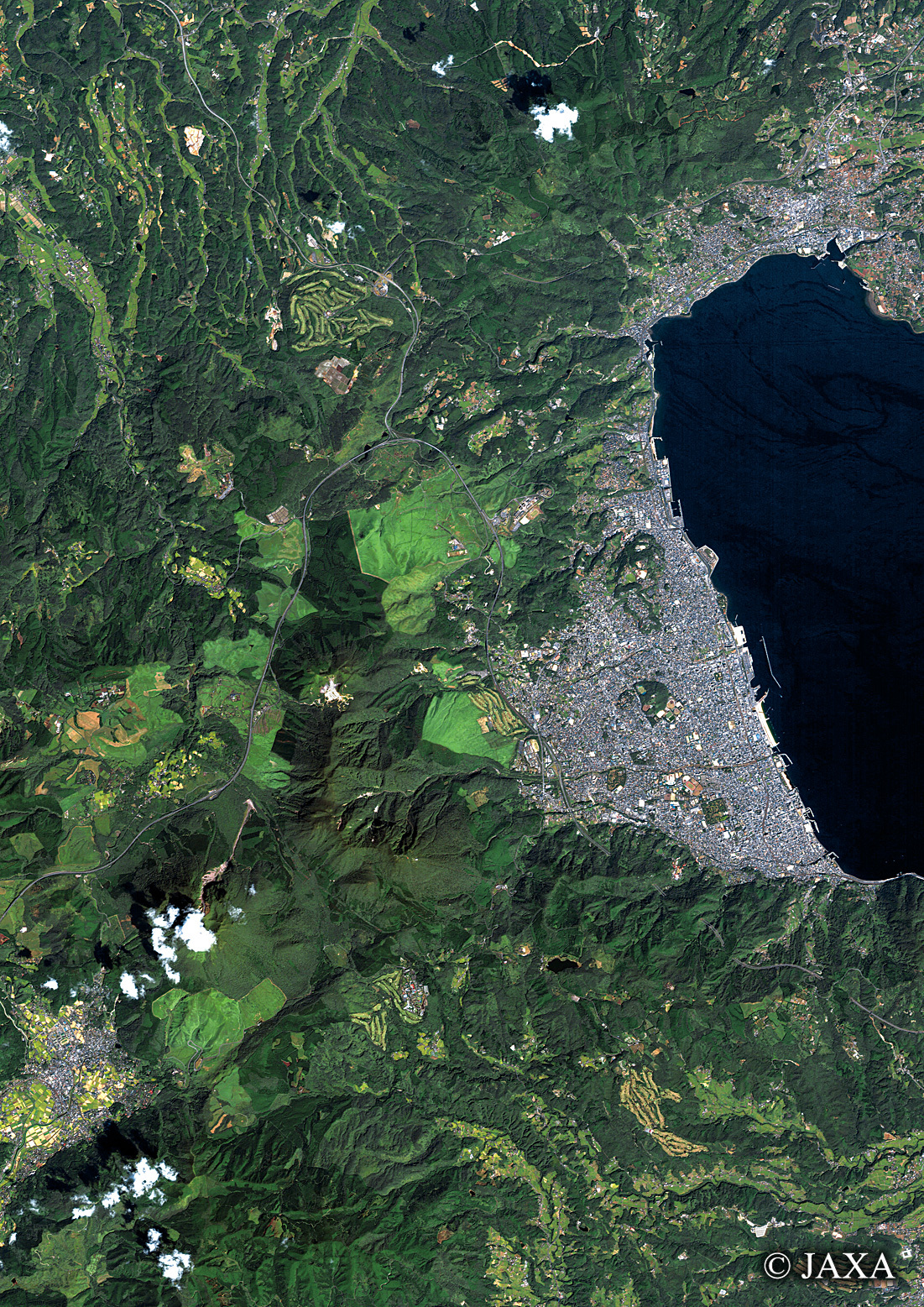だいちから見た日本の都市 別府市周辺:衛星画像