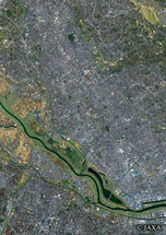だいちから見た日本の都市 さいたま市浦和区周辺：衛星画像