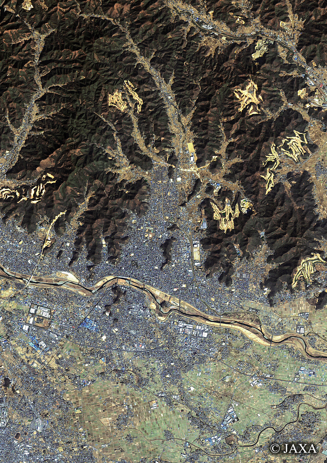 だいちから見た日本の都市 足利市周辺:衛星画像