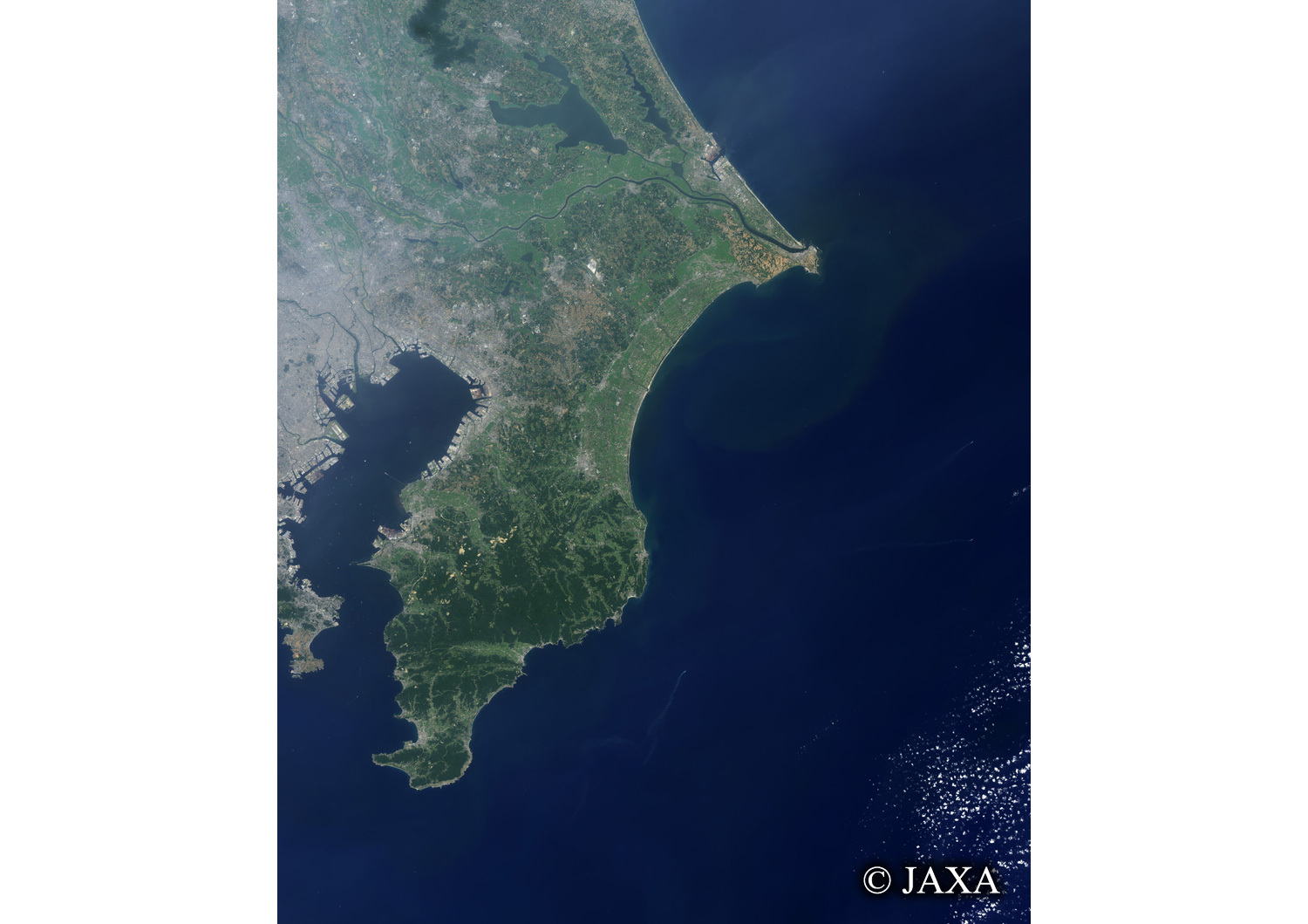 だいちから見た日本の都市 房総半島:衛星画像