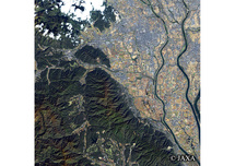 だいちから見た日本の都市 大垣市：衛星画像