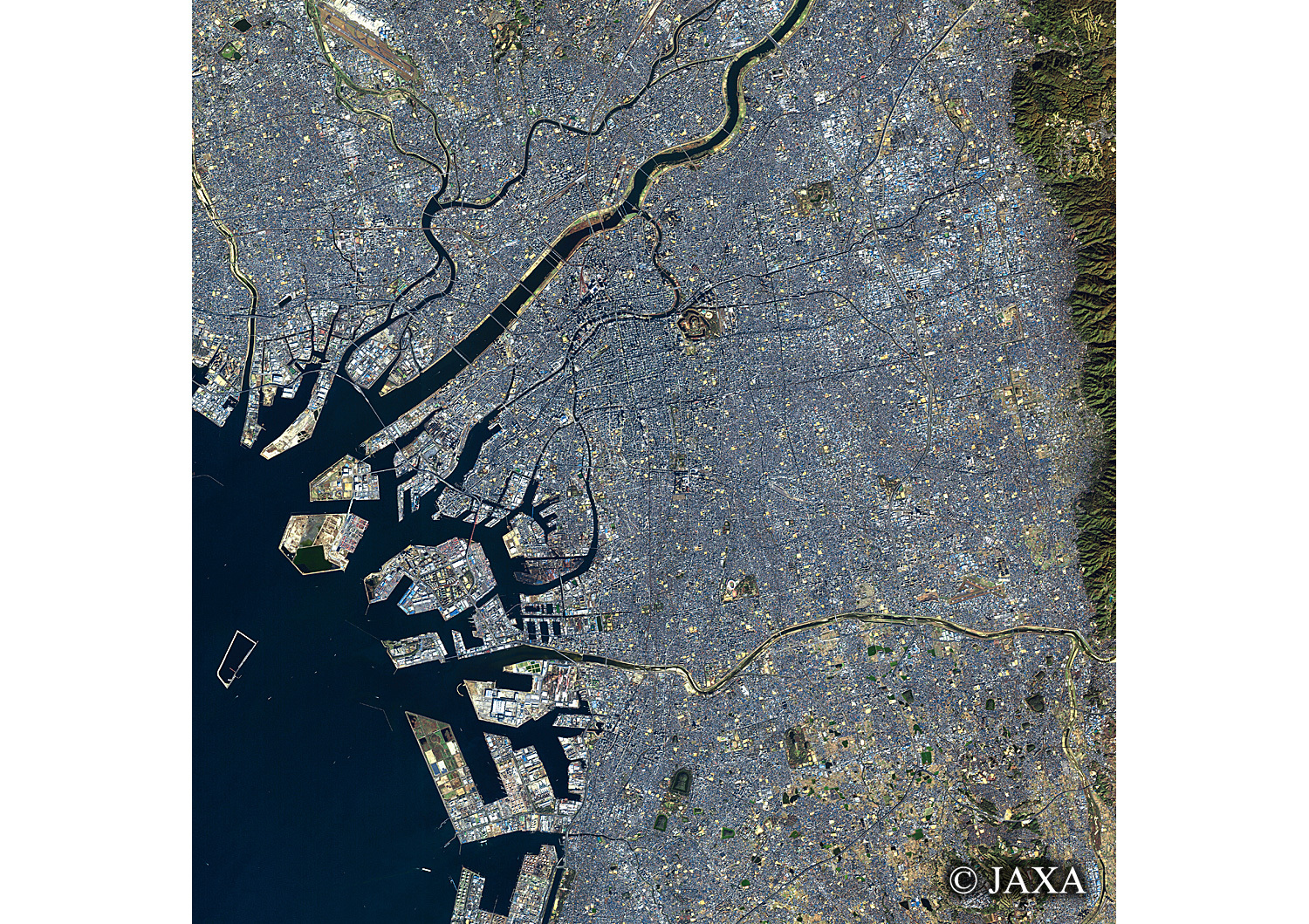 だいちから見た日本の都市 大阪府:衛星画像